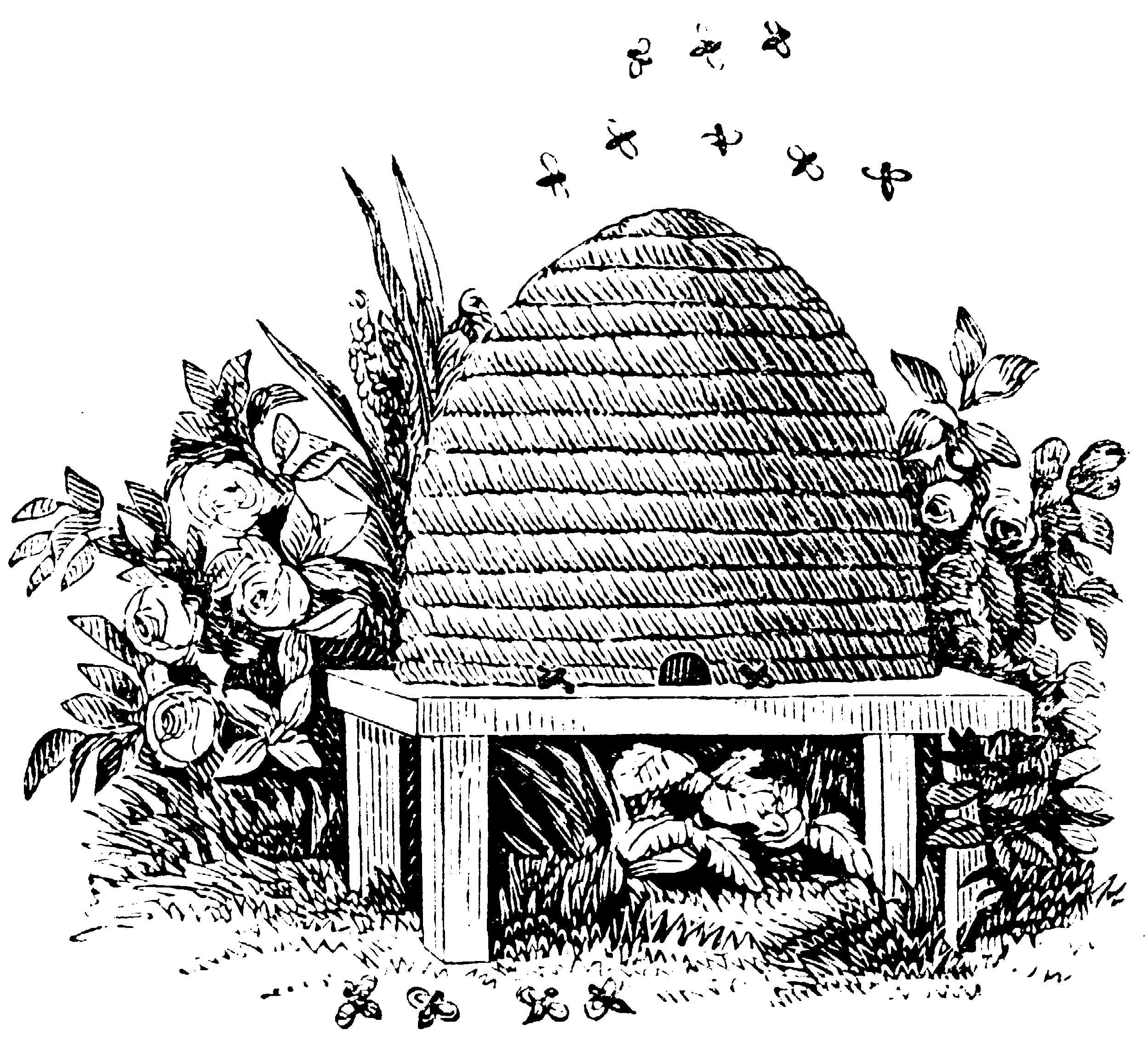 Freemasonry & Bees
