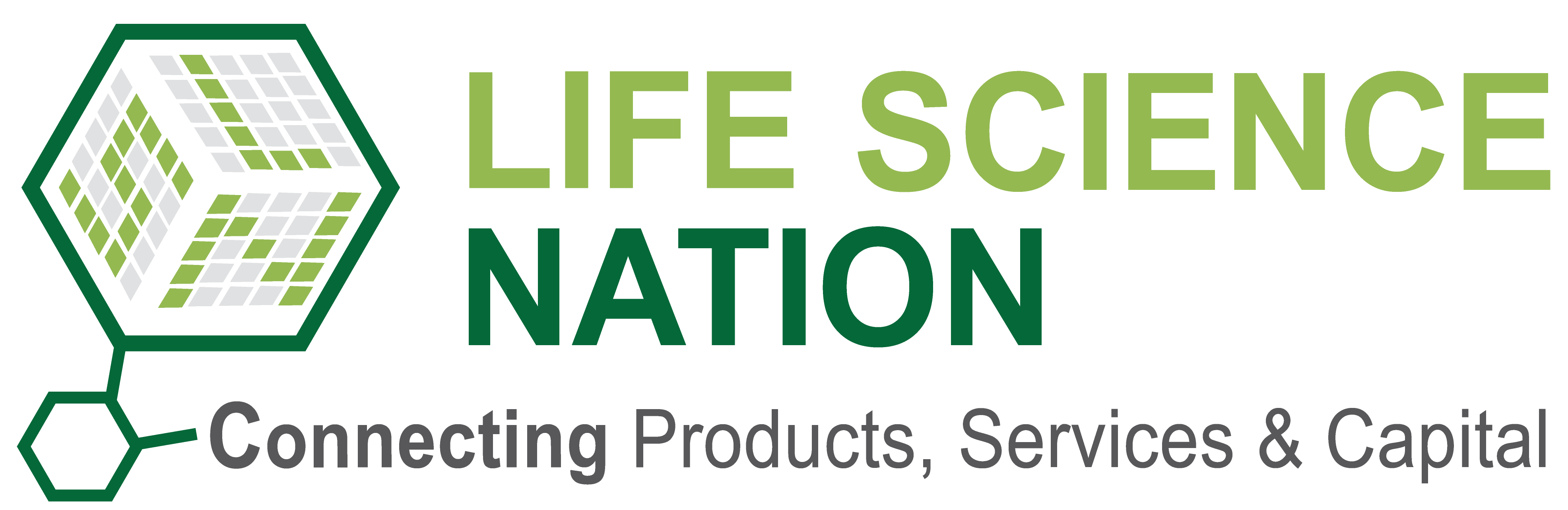 LSN Logo FreeMind Group