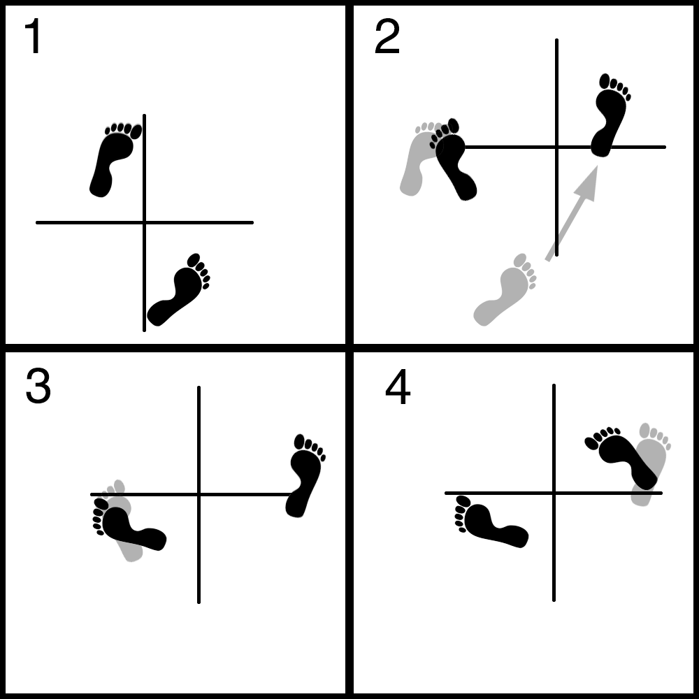 Basic Footwork MMA Movements Free MMA Training Workouts