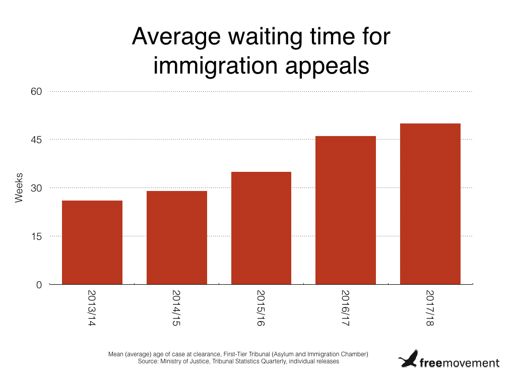 Home Office reviewing decisions in all immigration appeals over 20