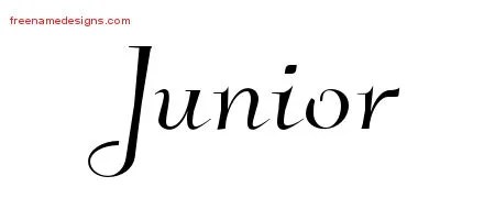 Elegant Name Tattoo Designs Junior Download Free - Free Name Designs 200_x_450_jpg