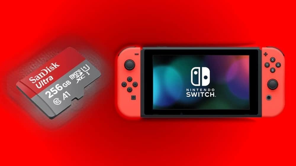 A Full Guide to Micro SD Card for Nintendo Switch