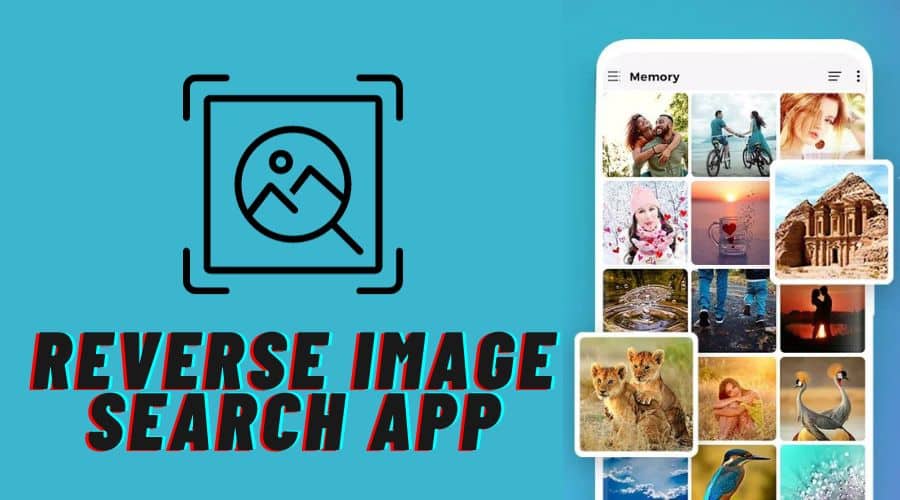 15 Best Reverse Image Search App for iOS & Android
