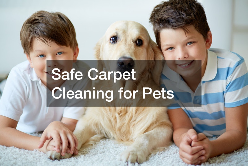 Safe Carpet Cleaning for Pets Free Pet Magazine Blog Filter