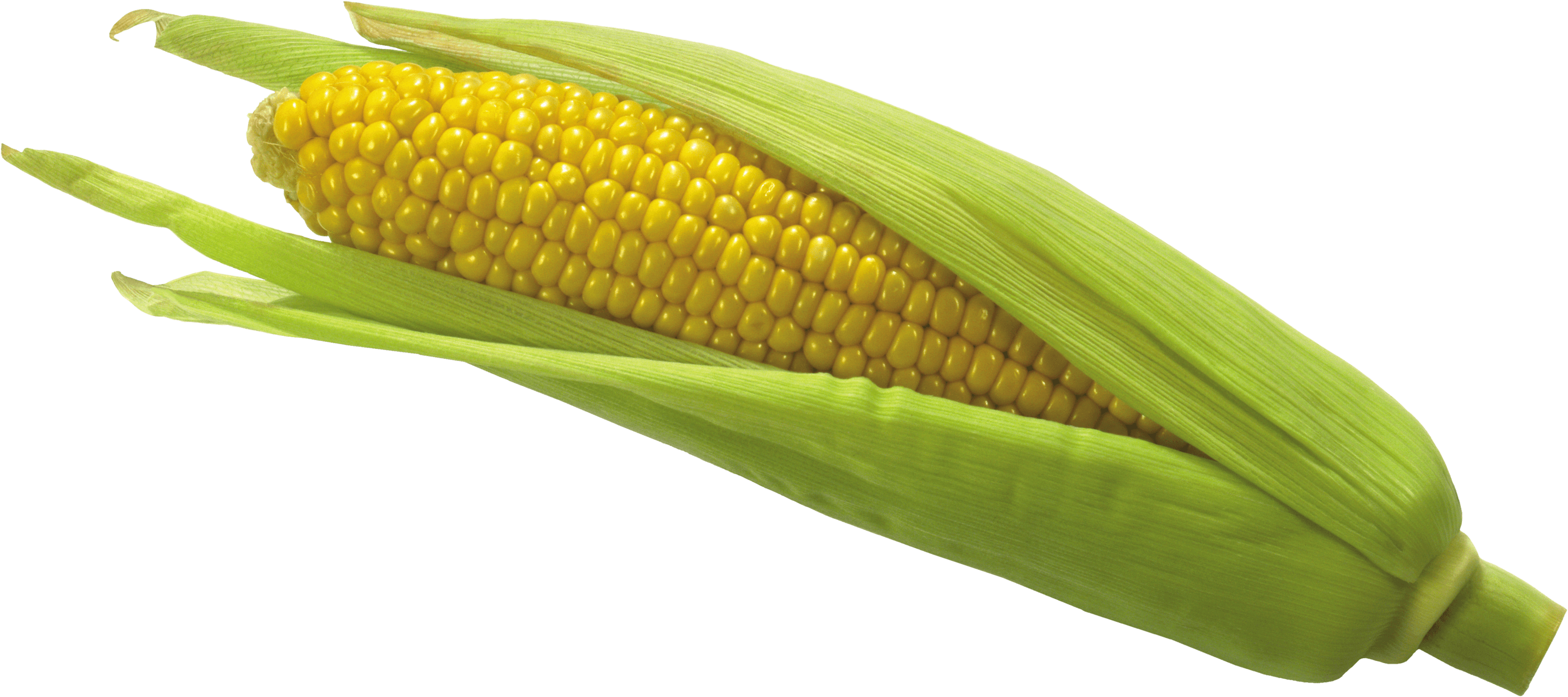 Download Corn Png Image HQ PNG Image FreePNGImg