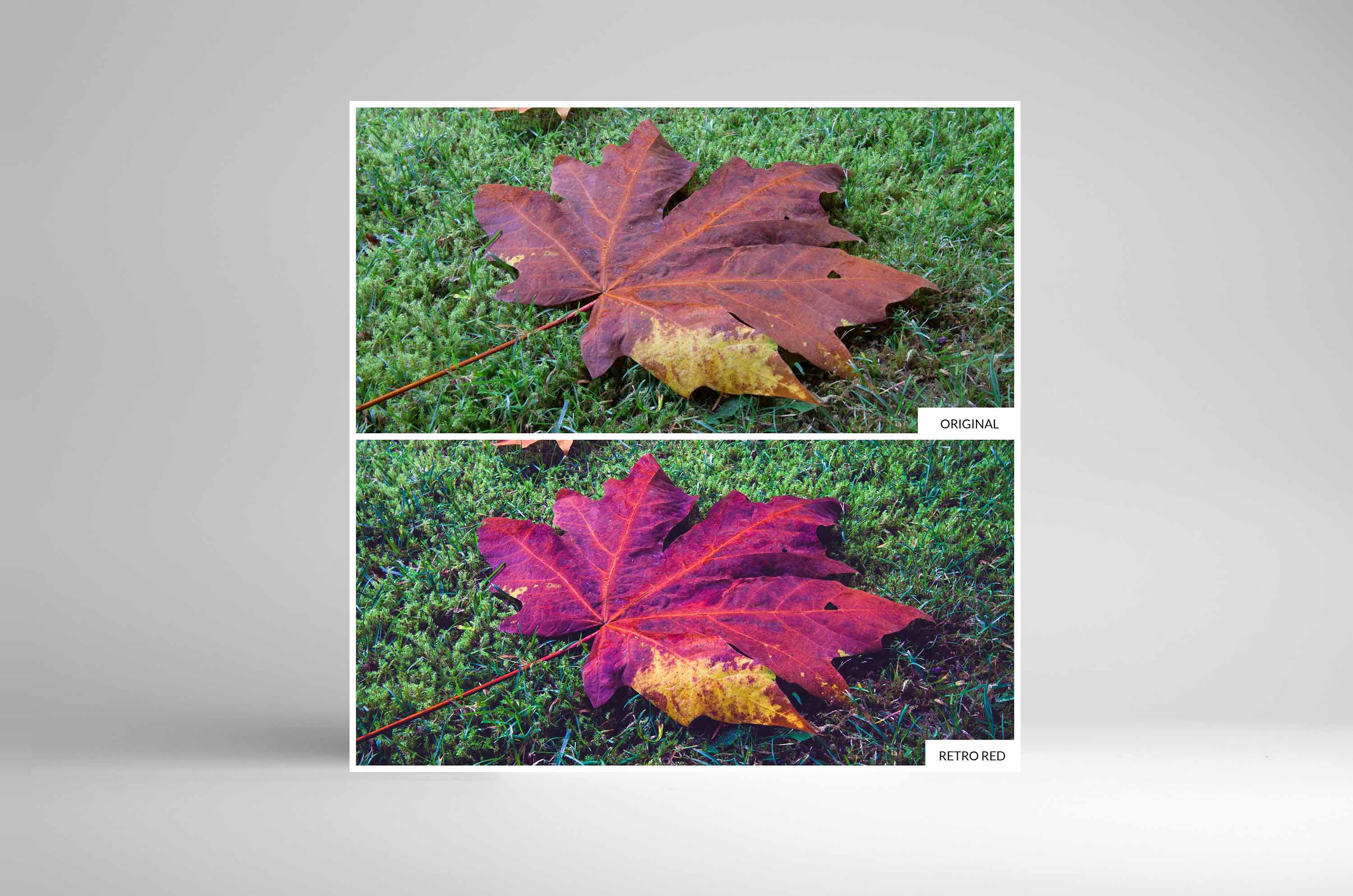 FREE PRESET "RETRO RED" Free Lightroom Presets & Actions