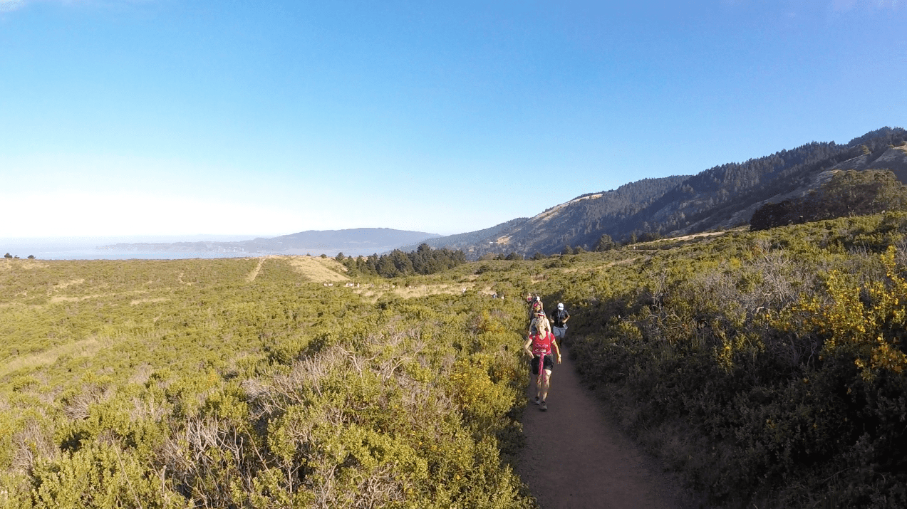 Double Dipsea Race Results Stinson Beach, California 8/24/2024 My