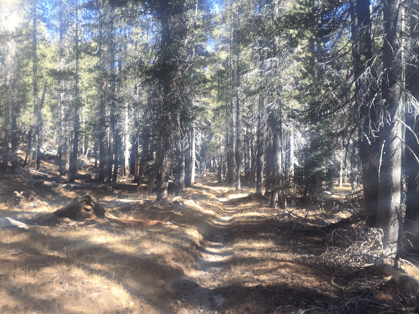 Exploring Yosemite May Lake, Mt. Hoffmann & McGee Lake freeradical.me