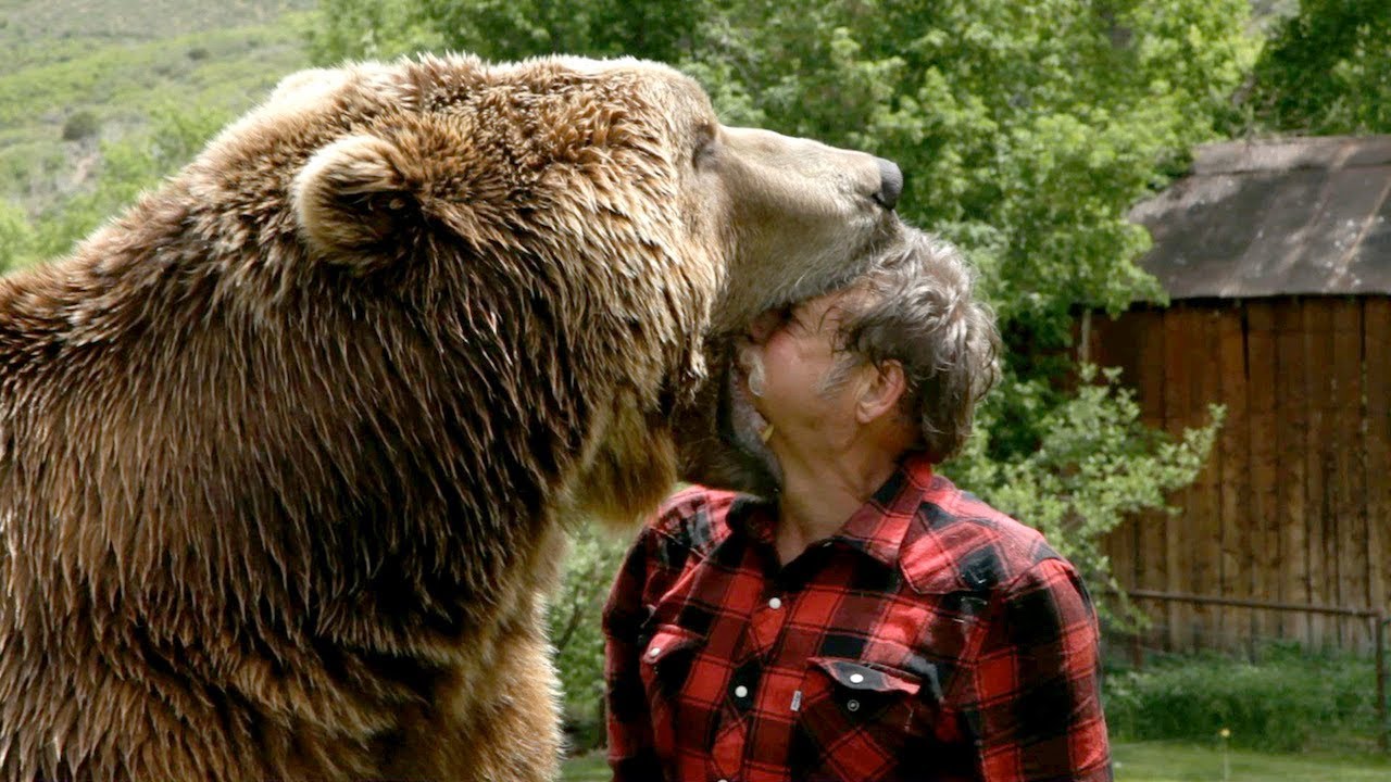 6 of Incorrect Americans Say They Could Beat a Grizzly HandtoHand