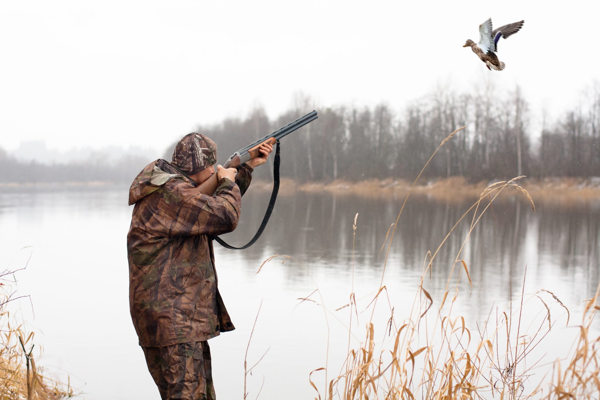 Mississippi Duck Hunting Victory Public Land Buffer Zone Rejected