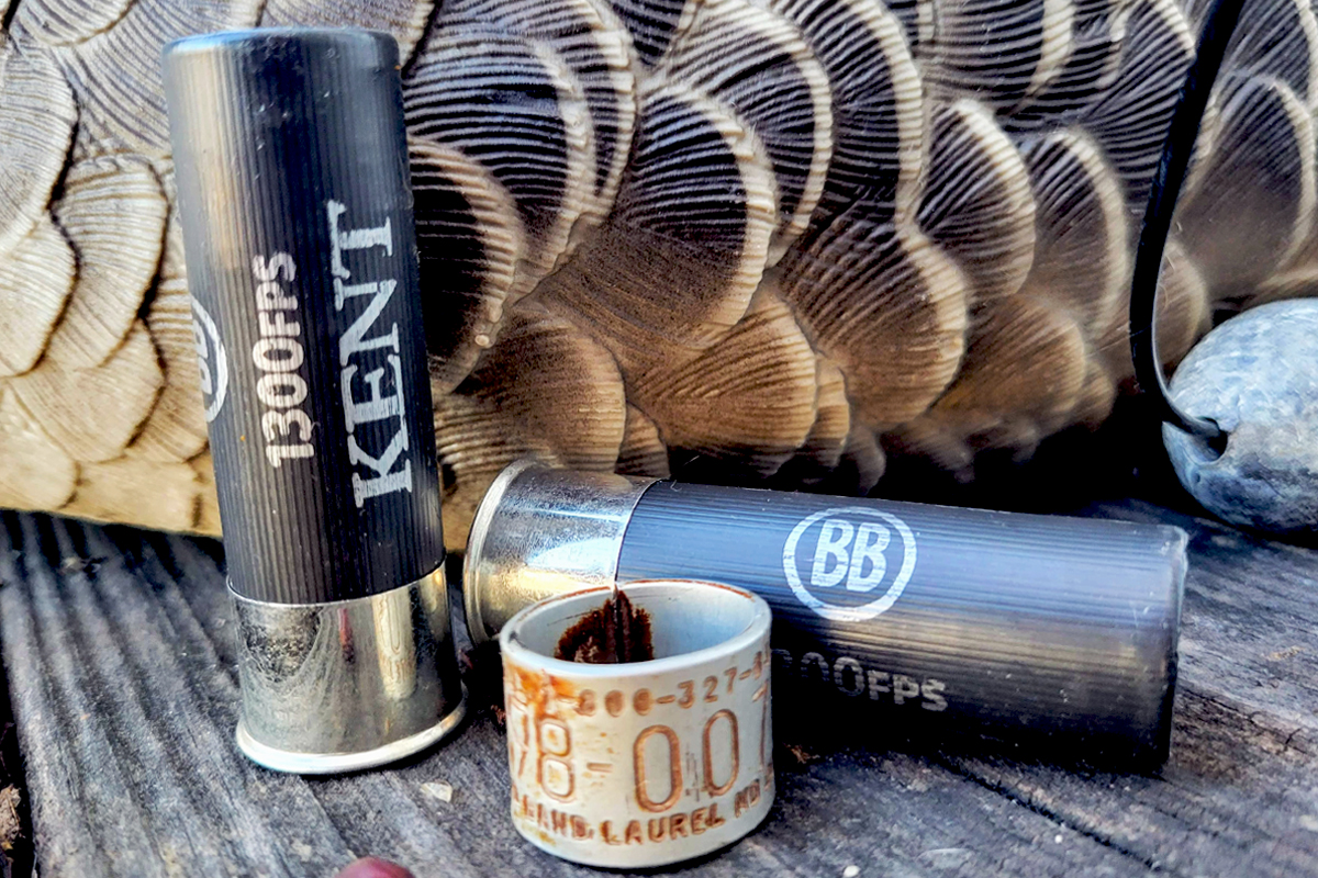 Banded Birds Why Leg Bands are More Than Mere Hunting Trophies