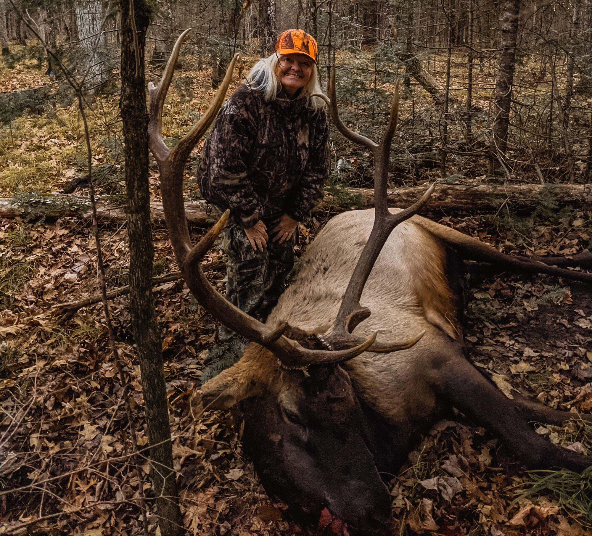 FirstTime Hunter, Grandmother Tags Bull During Wisconsin Elk Season