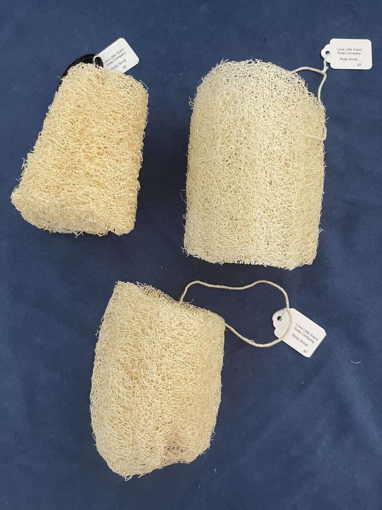 Loofah / Luffa Bathing Body Scrub Free Range Markets