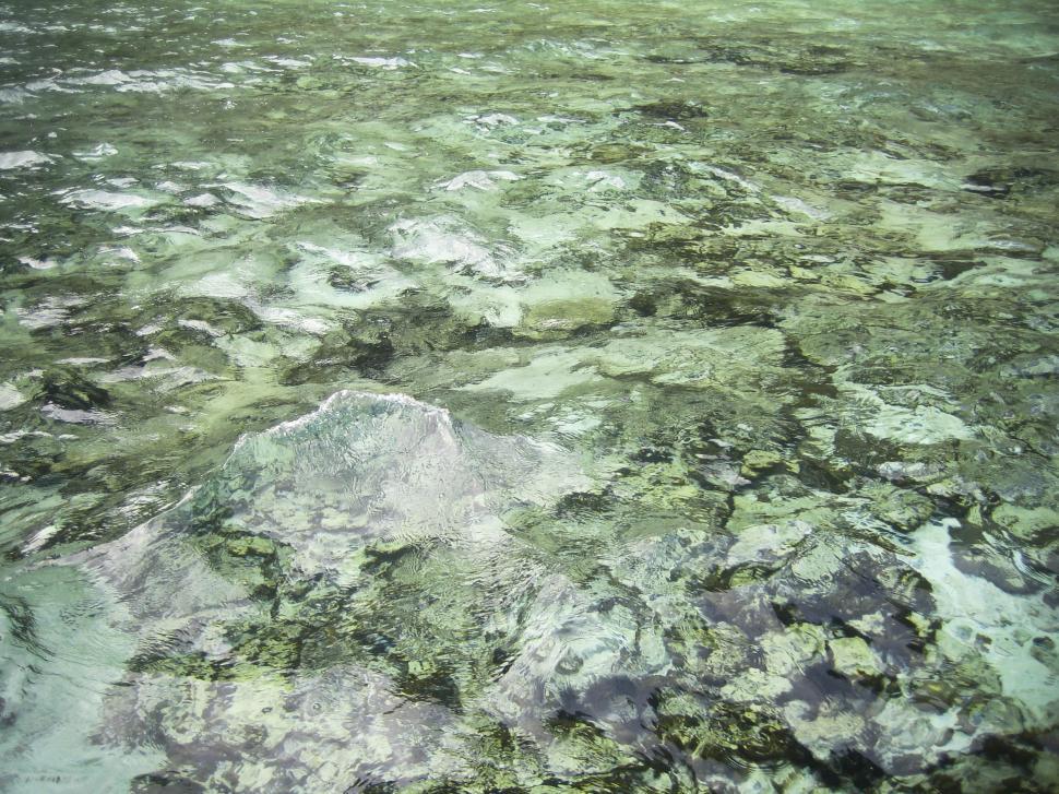 Free Stock Photo of shallow river Download Free Images and Free