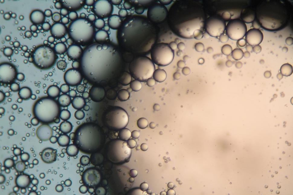 Free Stock Photo of Bubbles under the microscope Download Free Images