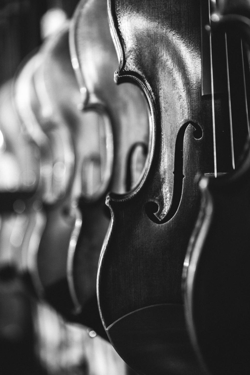 Free Stock Photo of Violins B&W Download Free Images and Free