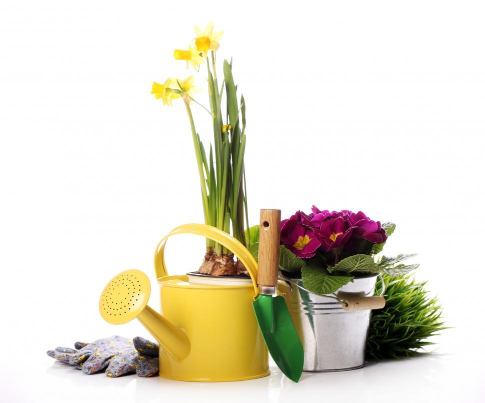 Free Stock Photo of Gardening stuff Download Free Images and Free