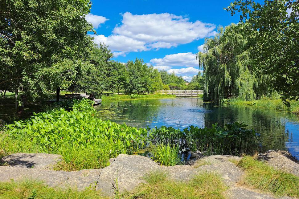 Free Stock Photo of Lakeside Download Free Images and Free Illustrations