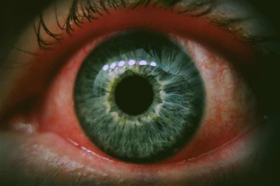 Free Stock Photo of Red Eye Download Free Images and Free Illustrations