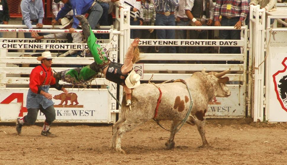 Free Stock Photo of Rodeo Crash Download Free Images and Free