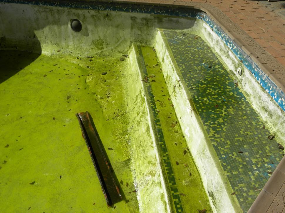 Dirty Pool Telegraph