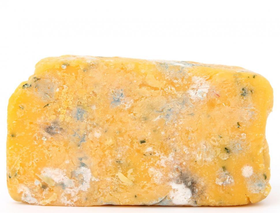 Free Stock Photo of mold moldy cheese spoiled rotten bad gross