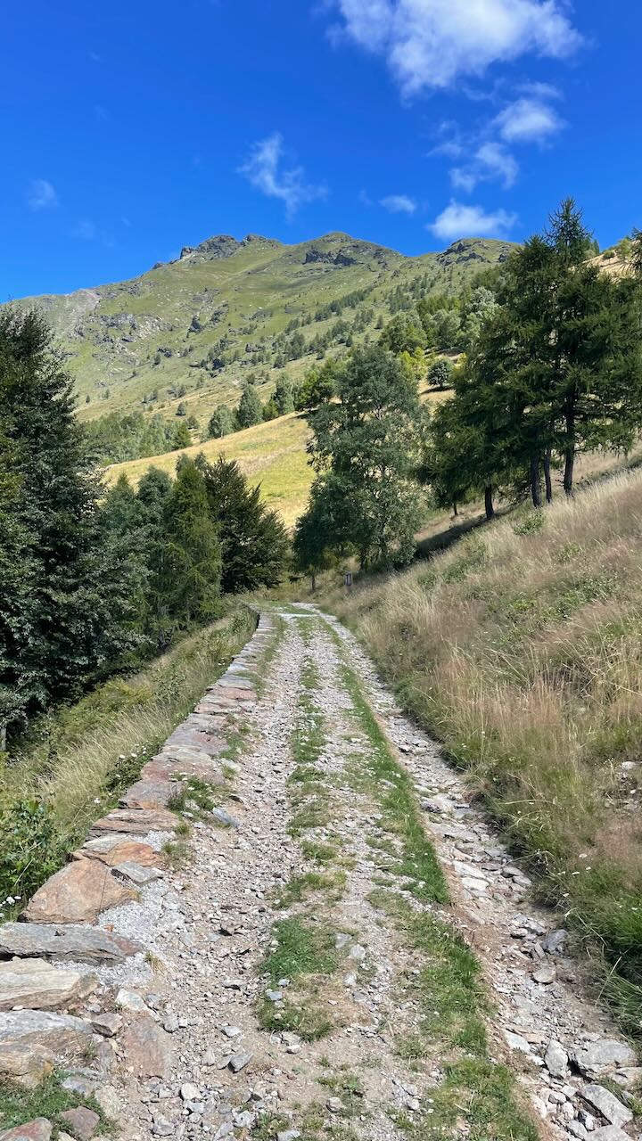 Militärstrasse zum Legnone Gipfel