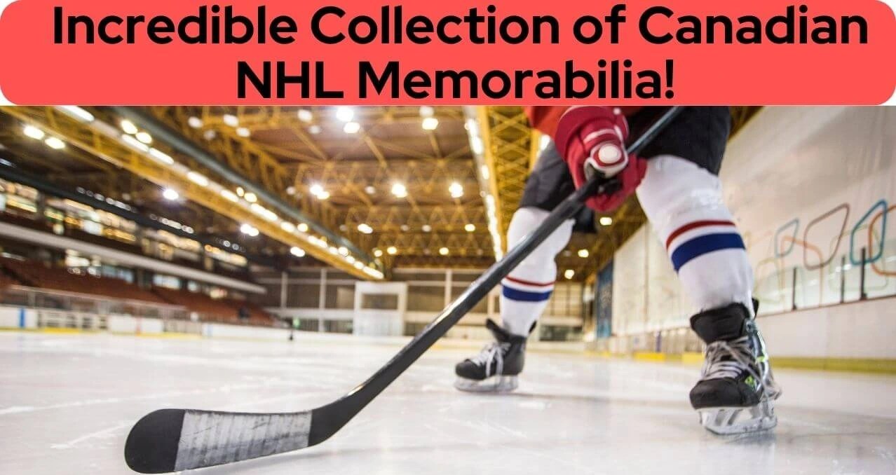 Discover the Ultimate Fan Cave with this Incredible Collection of