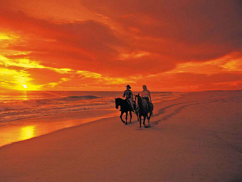 Experiences Freesouls Homes rentals Cerritos Beach