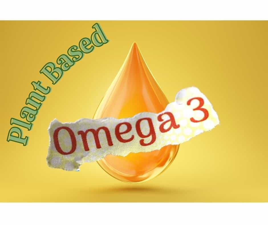 Why Algae Oil is the Way to Go for PlantBased Omega3 Free Spirit