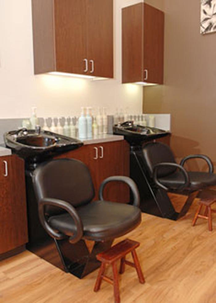 Atelier Salon Freestyle Systems