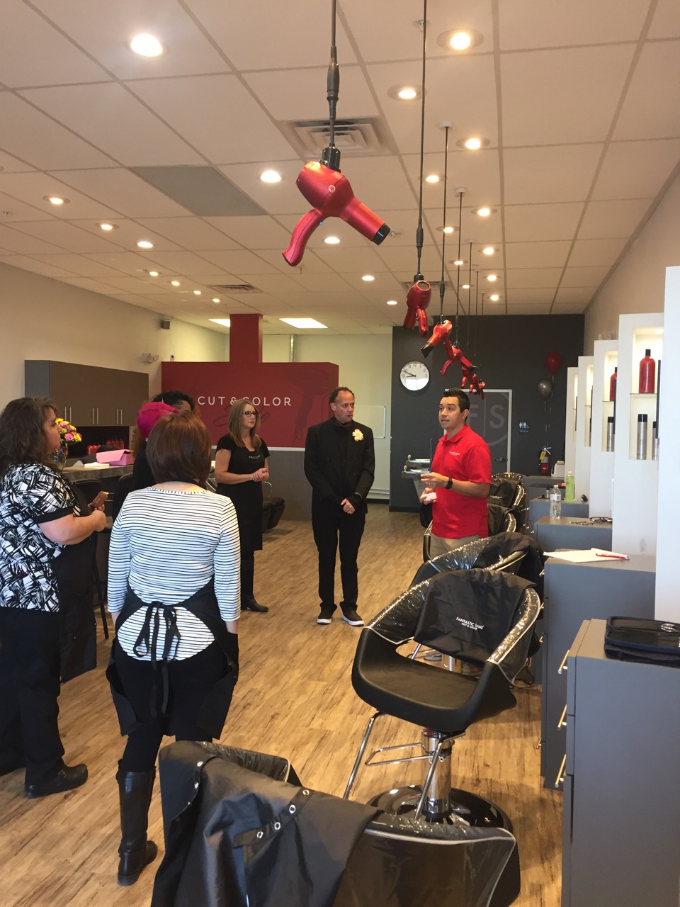 Fantastic Sam’s Freestyle Systems