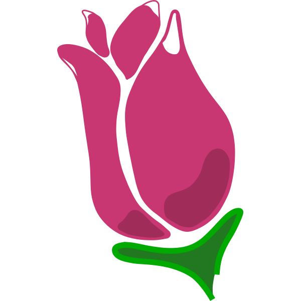 Abstract pink rose vector clip art Free SVG