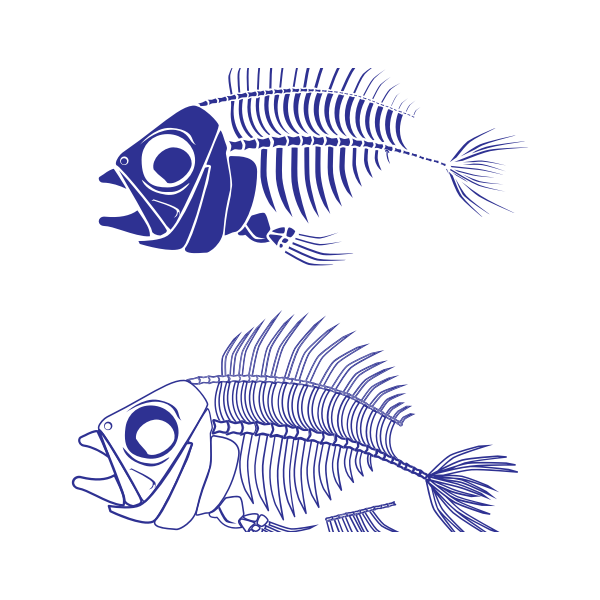 Fish Skeleton Svg Free 615+ File Include SVG PNG EPS DXF Free SVG
