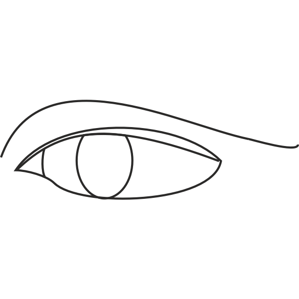 Eye line drawing Free SVG