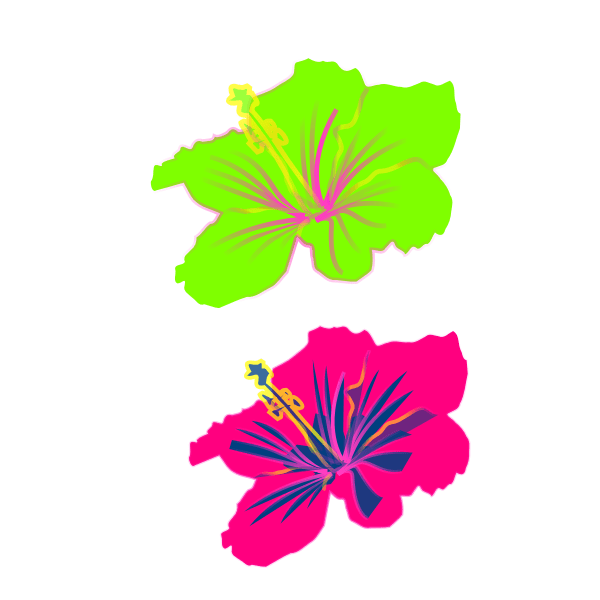 Free 217 Hibiscus Flower Outline Svg SVG PNG EPS DXF File