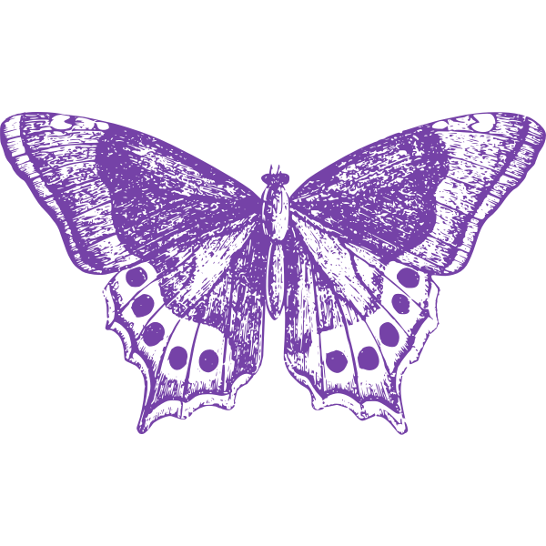Purple Butterfly Free SVG