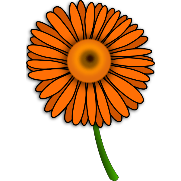 Gerbera Free SVG