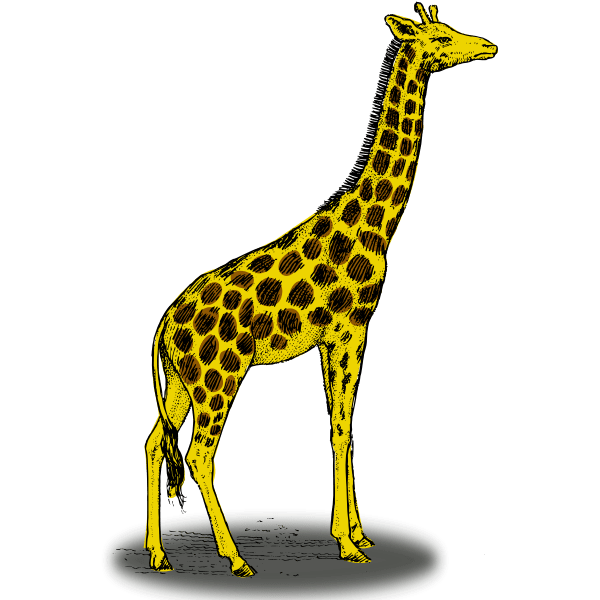 Colored giraffe vector clip art Free SVG