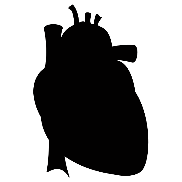 Realistic heart silhouette Free SVG