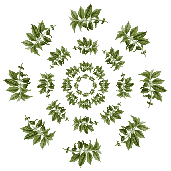 coffee leaves pattern Free SVG