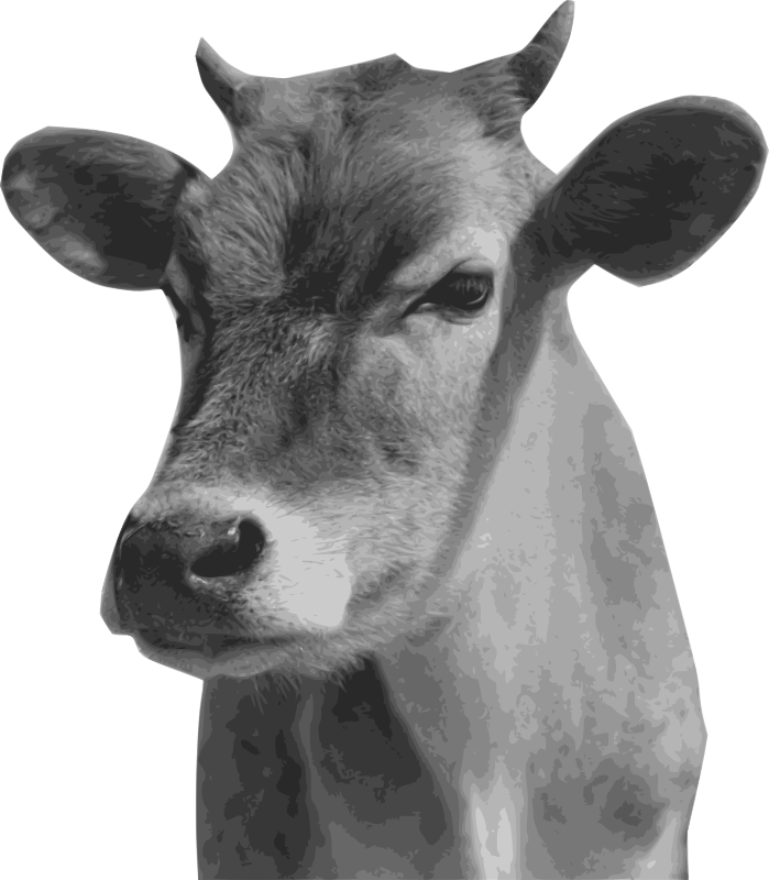 Cow head Free SVG