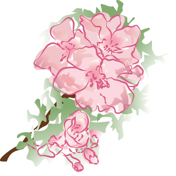 Decoration flower vector illustration Free SVG