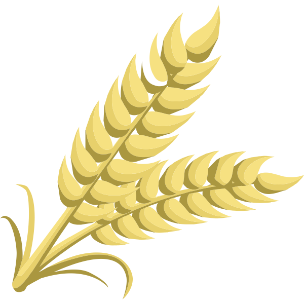 Whole grain Free SVG
