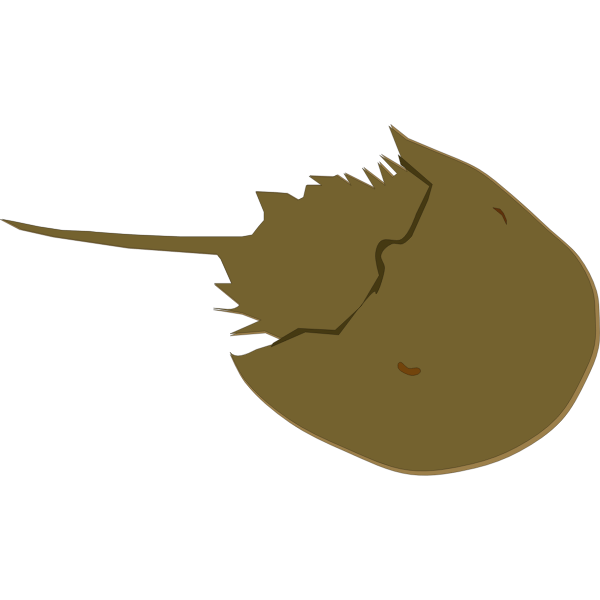 Horseshoe Crab Free SVG