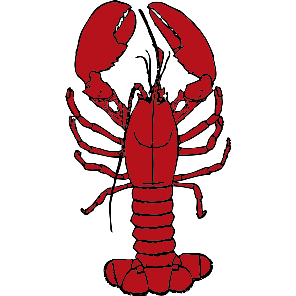 Vector drawing of lobster Free SVG