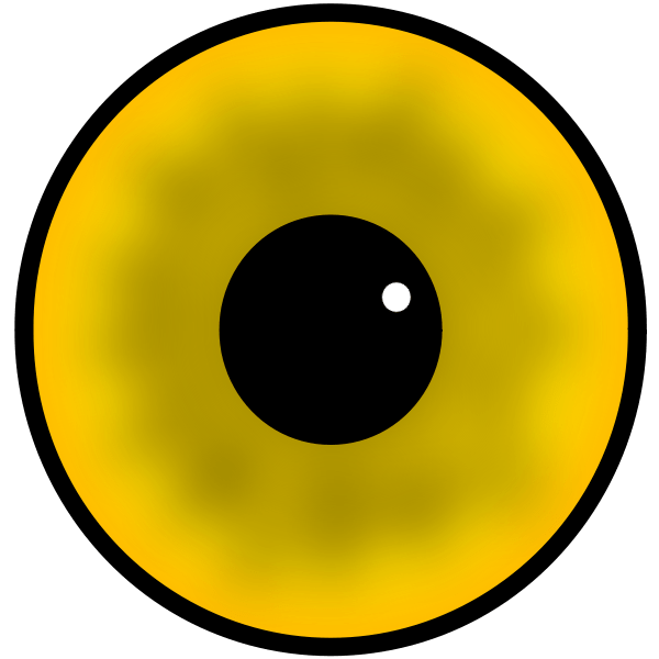 Yellow human eye iris and pupil vector image Free SVG