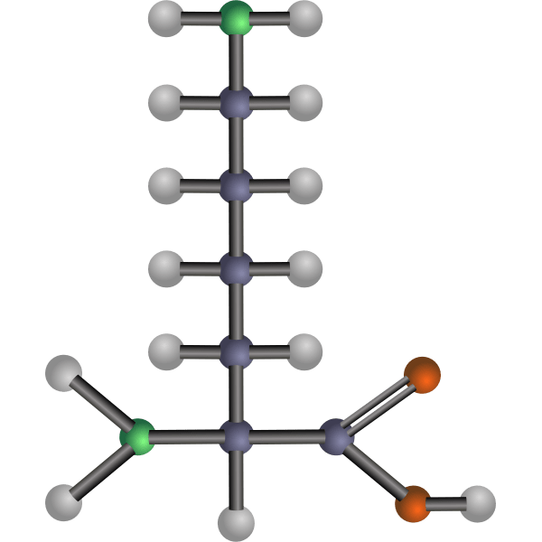 Lysine amino acid Free SVG