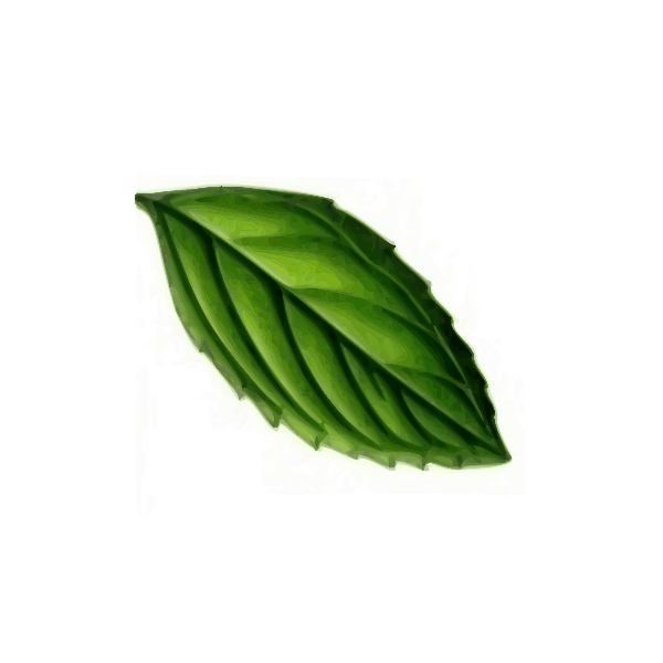 Mint Leaf Free SVG