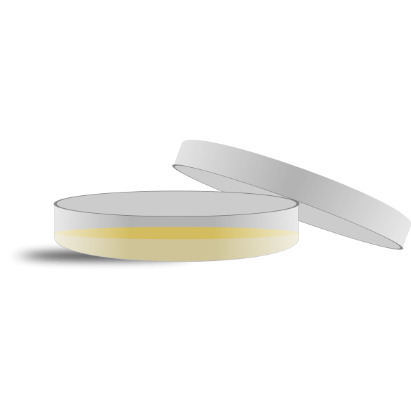 Cell Culture Petri Dish Clip Art Download petri dish images and photos